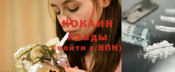 ПСИЛОЦИБИНОВЫЕ ГРИБЫ Арсеньев