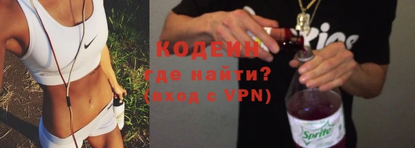 ПСИЛОЦИБИНОВЫЕ ГРИБЫ Арсеньев