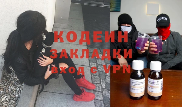 ПСИЛОЦИБИНОВЫЕ ГРИБЫ Арсеньев