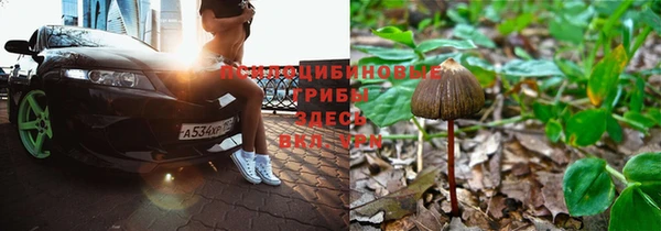 дмт Баксан