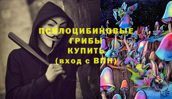 spice Армянск